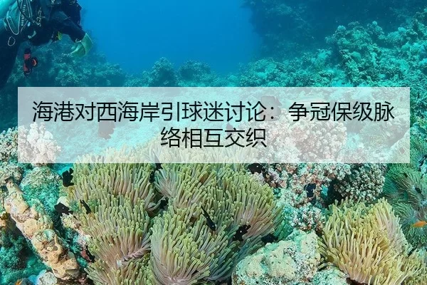 hai-gang-dui-xi-hai-an-yin-qiu-mi-tao-lun-zheng-guan-bao-ji-mai-luo-xiang-hu-jiao-zhi-2-180.jpg